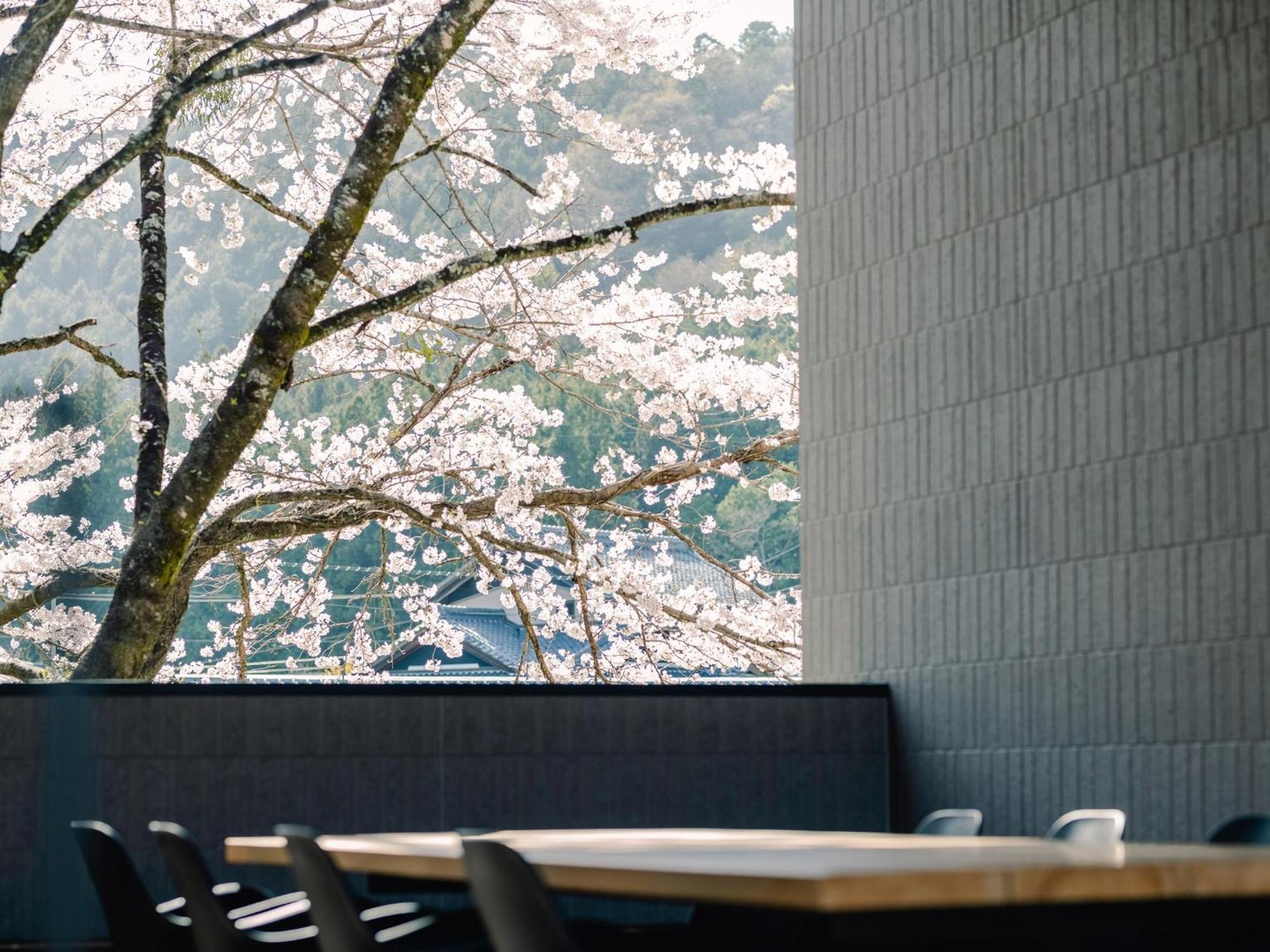 Tef Tanigumi - Vacation Stay 78908V Ibigawa Exteriér fotografie